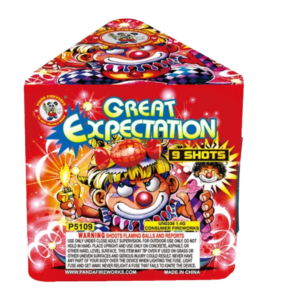 Great Expectation (24/1)